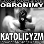 Broń palna w rękach obywateli to symbol wolności – tego nie pojmuje organizacja Narodowe Odrodzenie Polski (NOP)